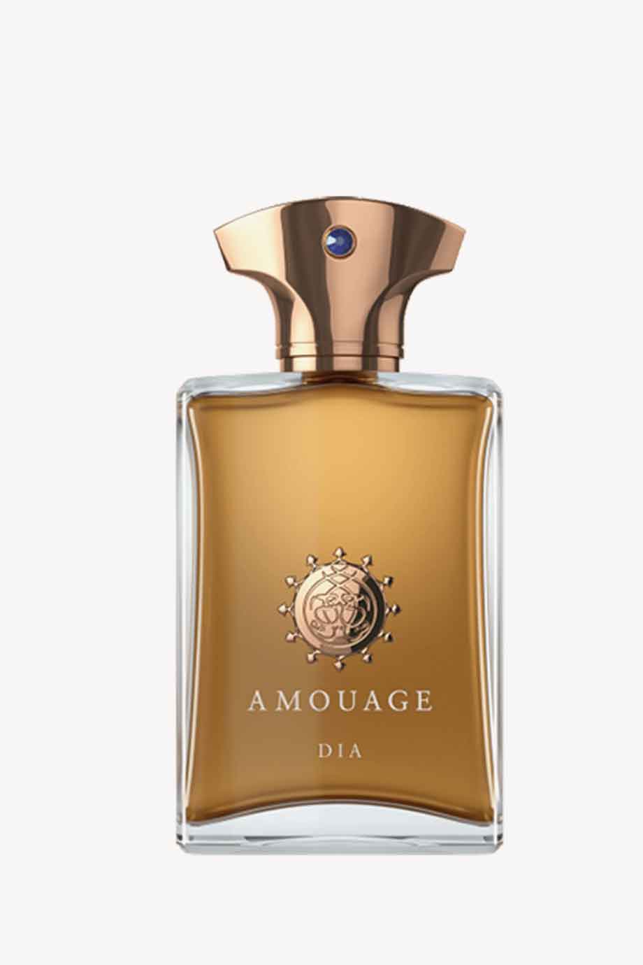 Picture of AMOUAGE DIA MEN EAU DE PARFUM 100ML